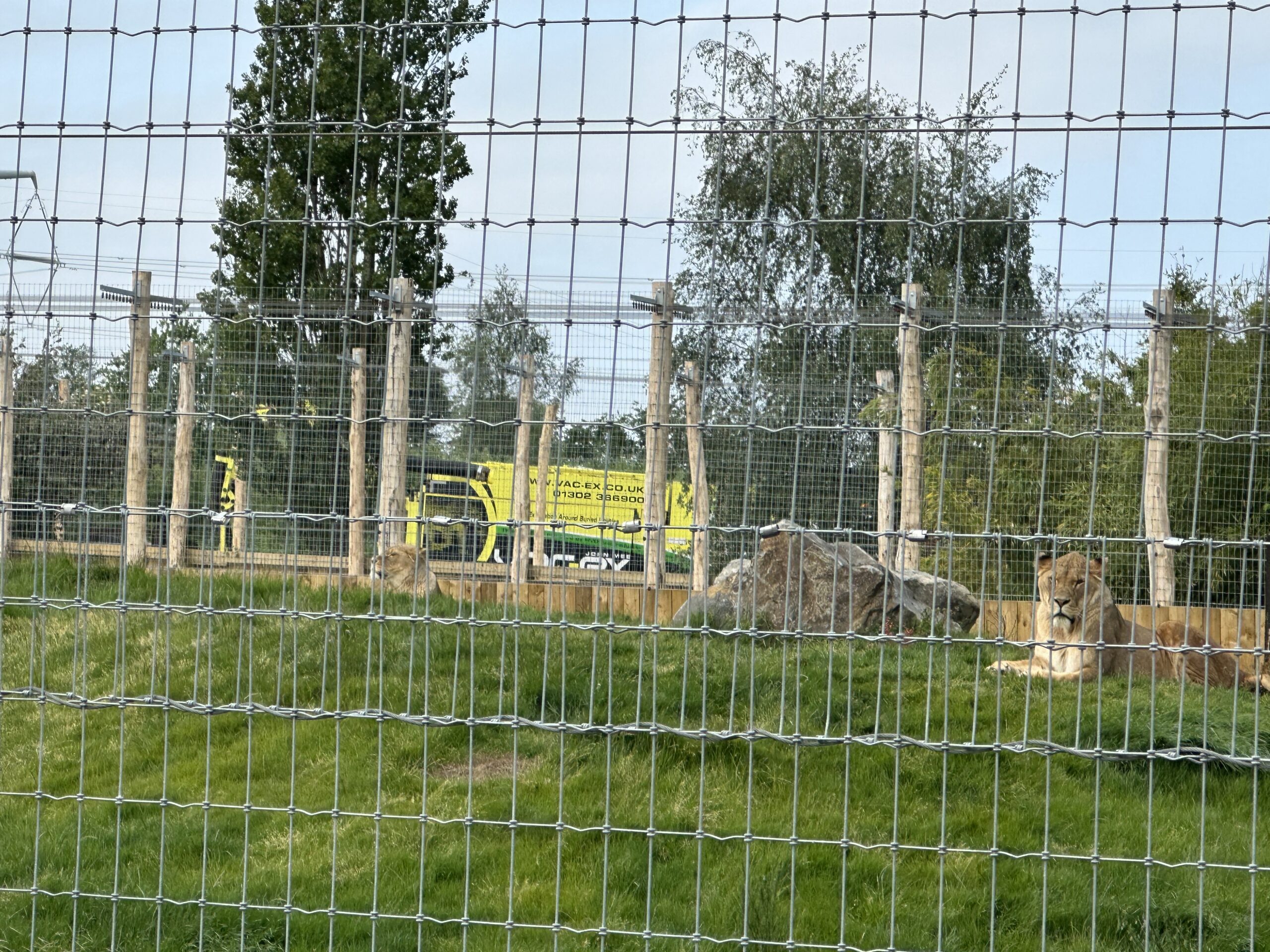 Vacuum Excavation Zoo Project – Excavation With Bite!